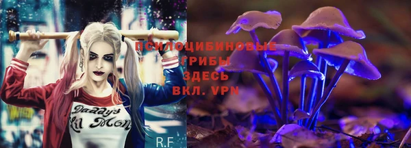 амфетамин Горнозаводск