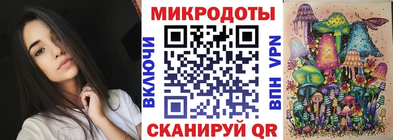 Псилоцибиновые грибы мицелий  Купить где  Змеиногорск 
