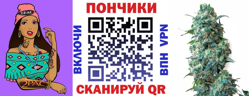 Купить закладки  Змеиногорск  Бошки Шишки OG Kush 